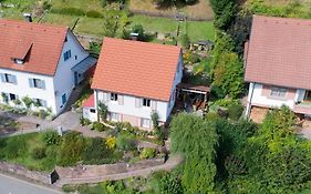 Le Bain Du Corbeau - Schwarzwald-Villa Alpirsbach